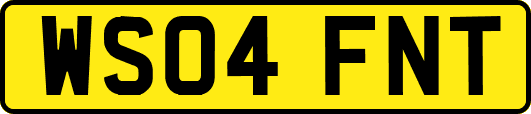 WS04FNT