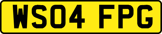 WS04FPG