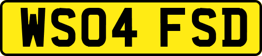 WS04FSD