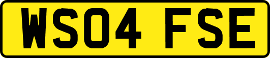 WS04FSE