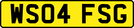 WS04FSG