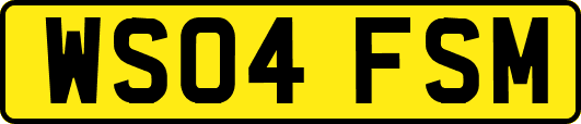 WS04FSM