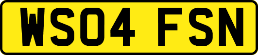 WS04FSN