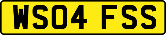 WS04FSS