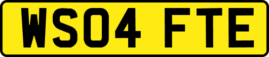 WS04FTE