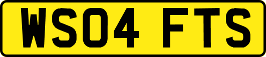 WS04FTS