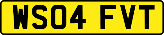 WS04FVT