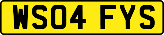 WS04FYS
