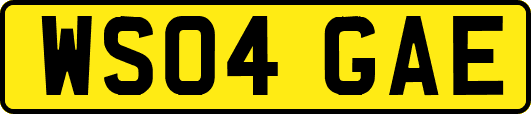 WS04GAE