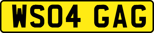 WS04GAG