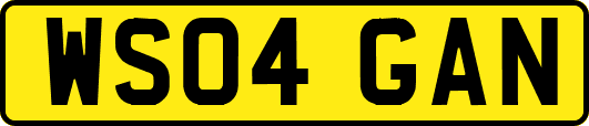 WS04GAN