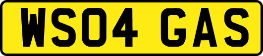 WS04GAS