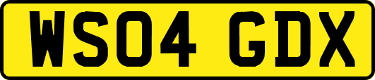 WS04GDX