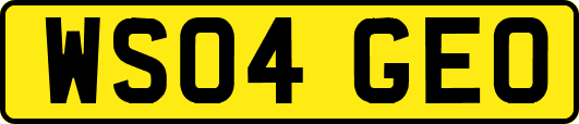 WS04GEO