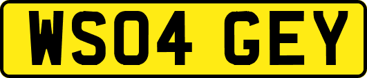 WS04GEY