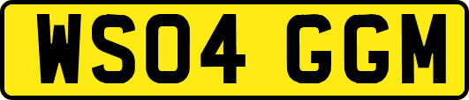 WS04GGM