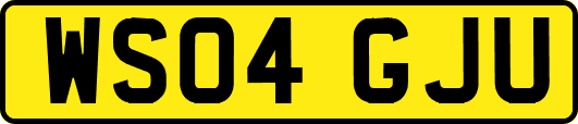 WS04GJU