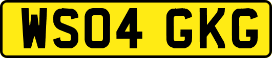 WS04GKG