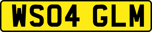 WS04GLM