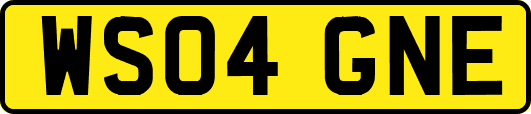 WS04GNE