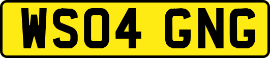 WS04GNG