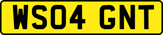 WS04GNT