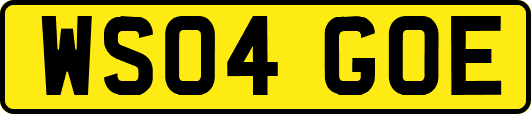 WS04GOE