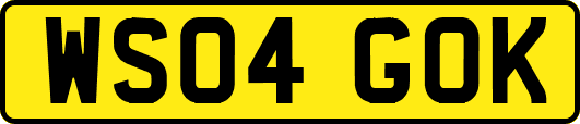 WS04GOK