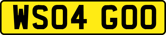 WS04GOO