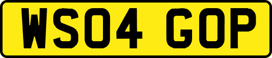 WS04GOP