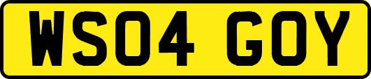 WS04GOY