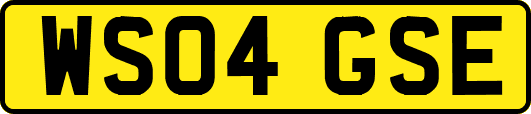 WS04GSE