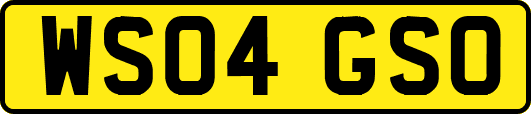WS04GSO