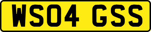 WS04GSS