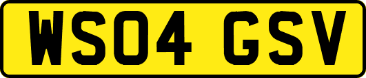 WS04GSV