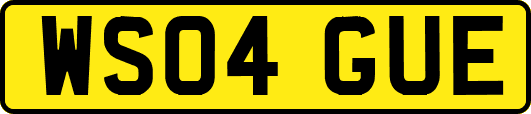 WS04GUE