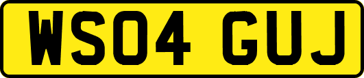 WS04GUJ