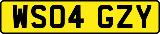 WS04GZY