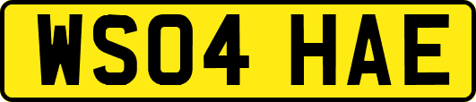WS04HAE