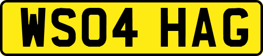 WS04HAG