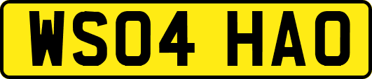 WS04HAO