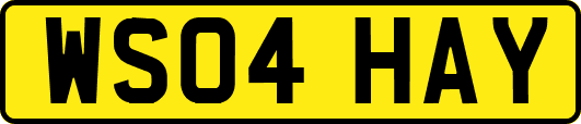 WS04HAY