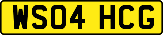 WS04HCG