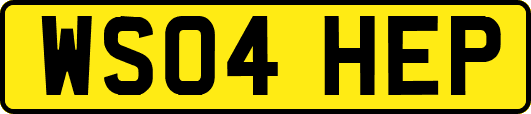 WS04HEP