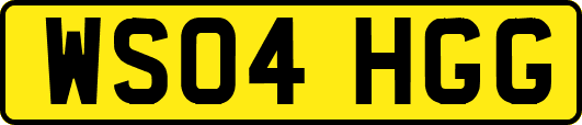 WS04HGG