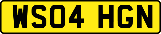 WS04HGN