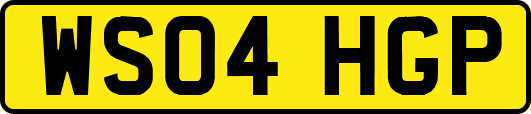 WS04HGP