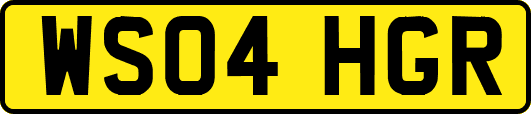 WS04HGR
