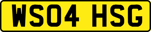 WS04HSG