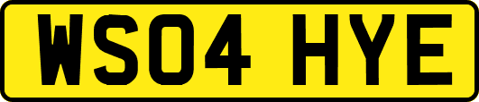 WS04HYE